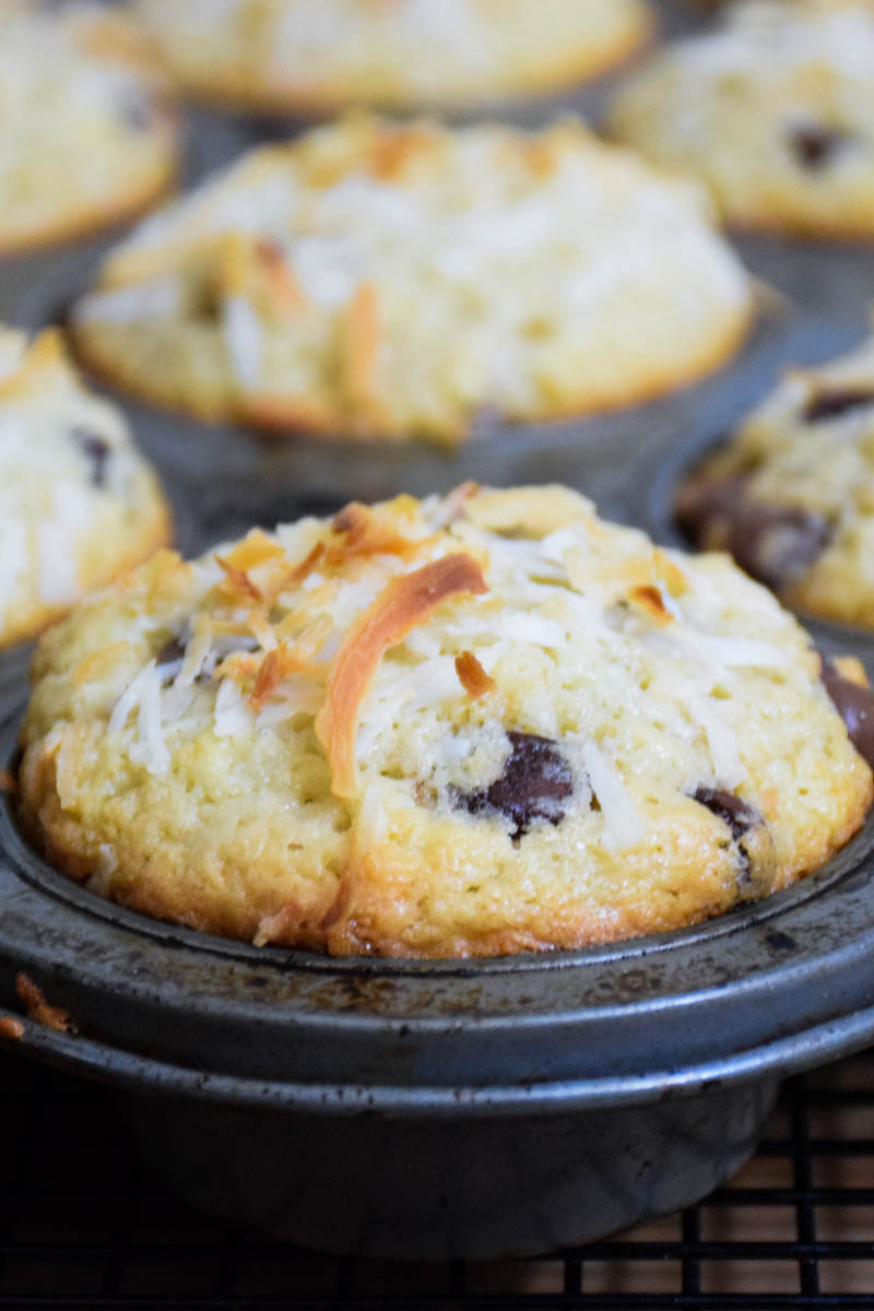 Baked coconut chocolate chip muffins in a muffin pan.