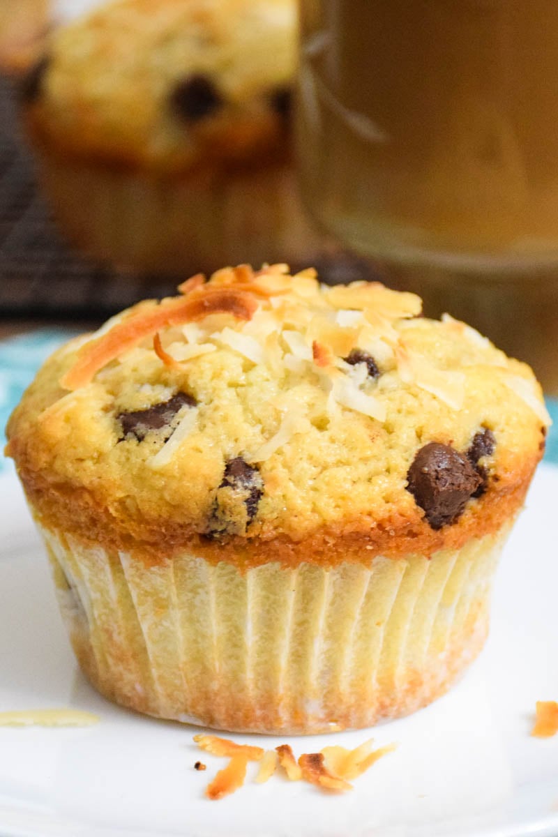 Baked coconut chocolate chip muffins on a plate.