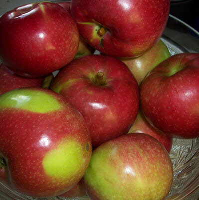 A bowl full of fresh apples.