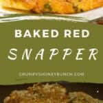 Pin image for baked red snapper recipes.
