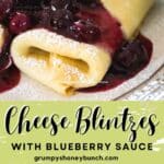 Pin image for cheese blintzes.