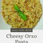 Pin image for cheesy orzo pasta.