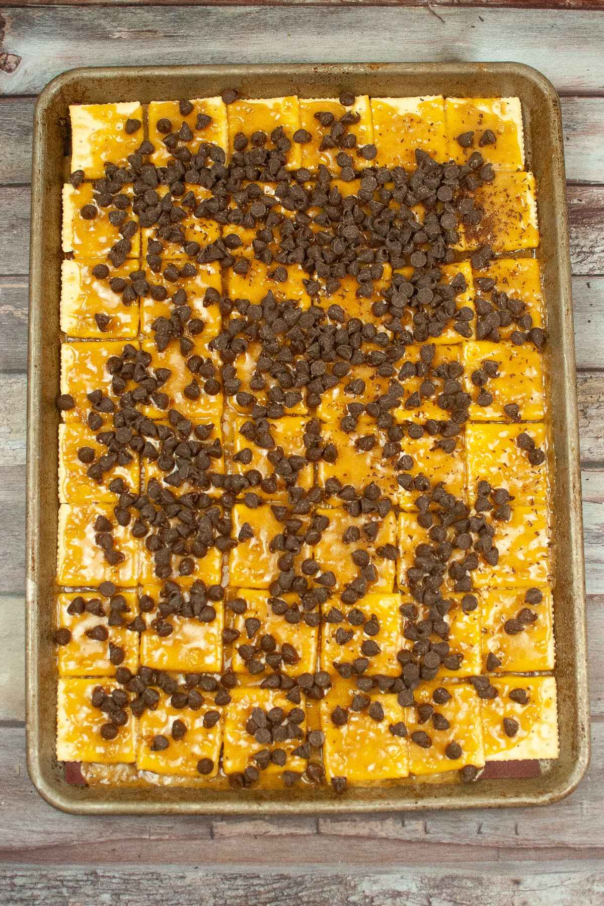 Saltines on jelly roll pan with toffee and chocolate chips on top of toffee.