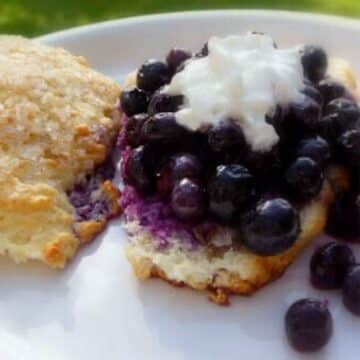 Featured Image for Gingered Blueberry Shortcake.