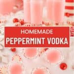 Pin image for Peppermint Vodka.