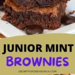 Pin image for Junior mint brownies.