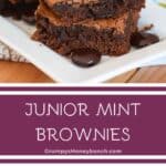 Pin image for junior mint brownies.