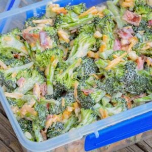 Keto Broccoli Salad Featured Image.