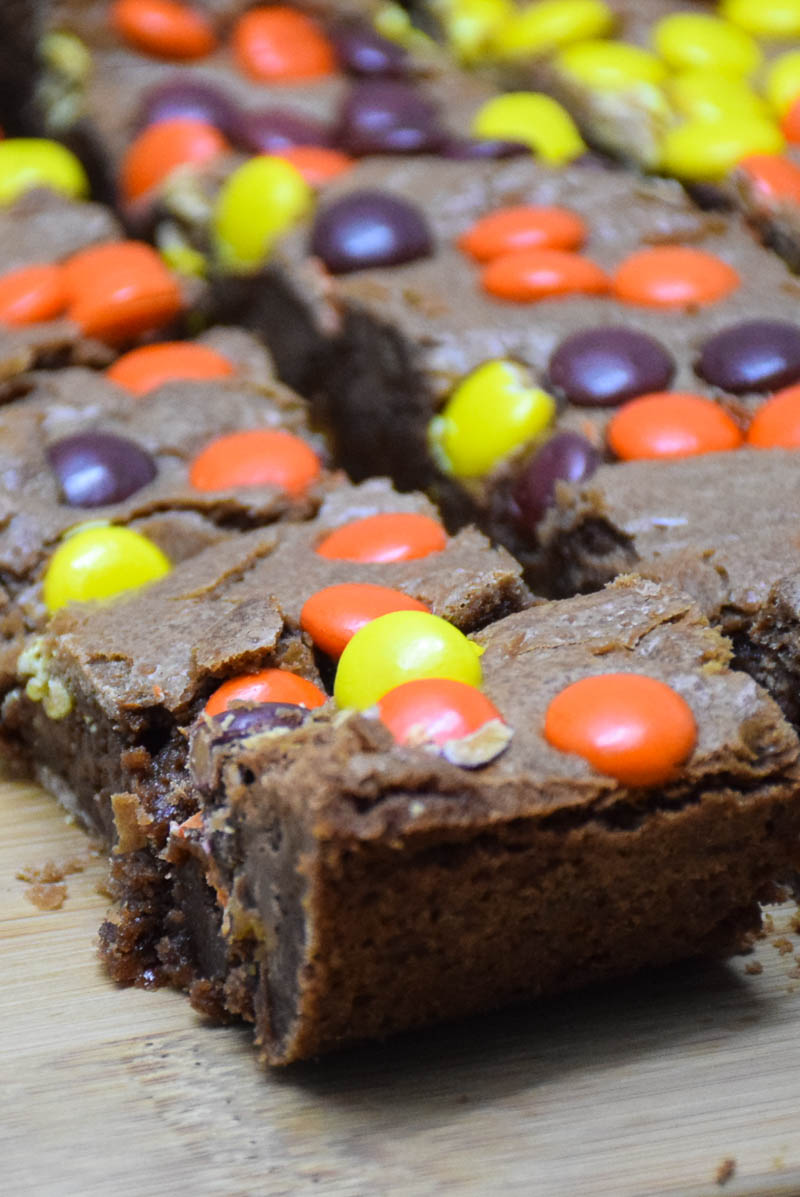 Side view of fudgy brownies topped with Reese's pieces and studded with peanut butter cups.