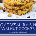 Pin image for oatmeal cookies.