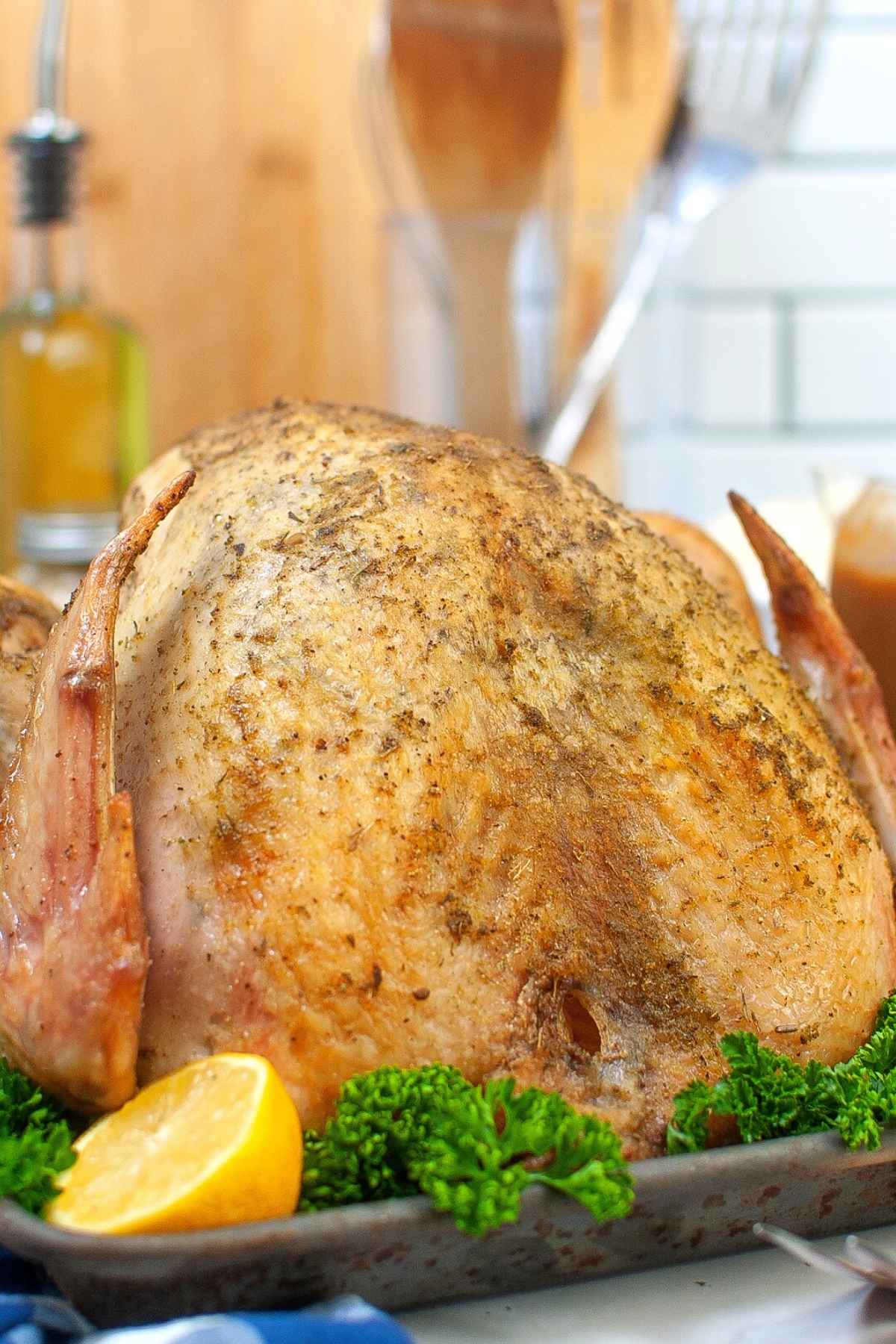 A golden brown pan roasted turkey on a platter.