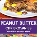 Peanut butter brownie cup pin.
