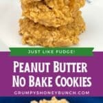 Pin image for peanut butter no bake cookies.
