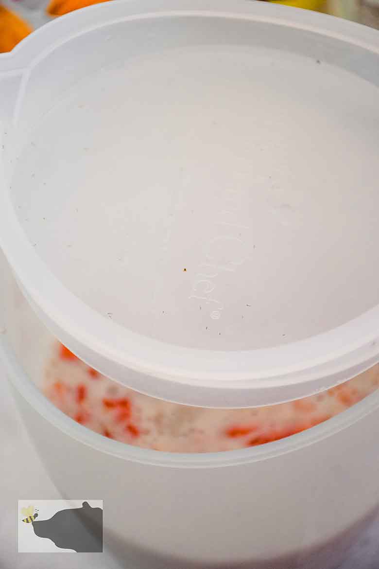 Placing lid on mixing bowl with chia and strawberry mixture in bowl.