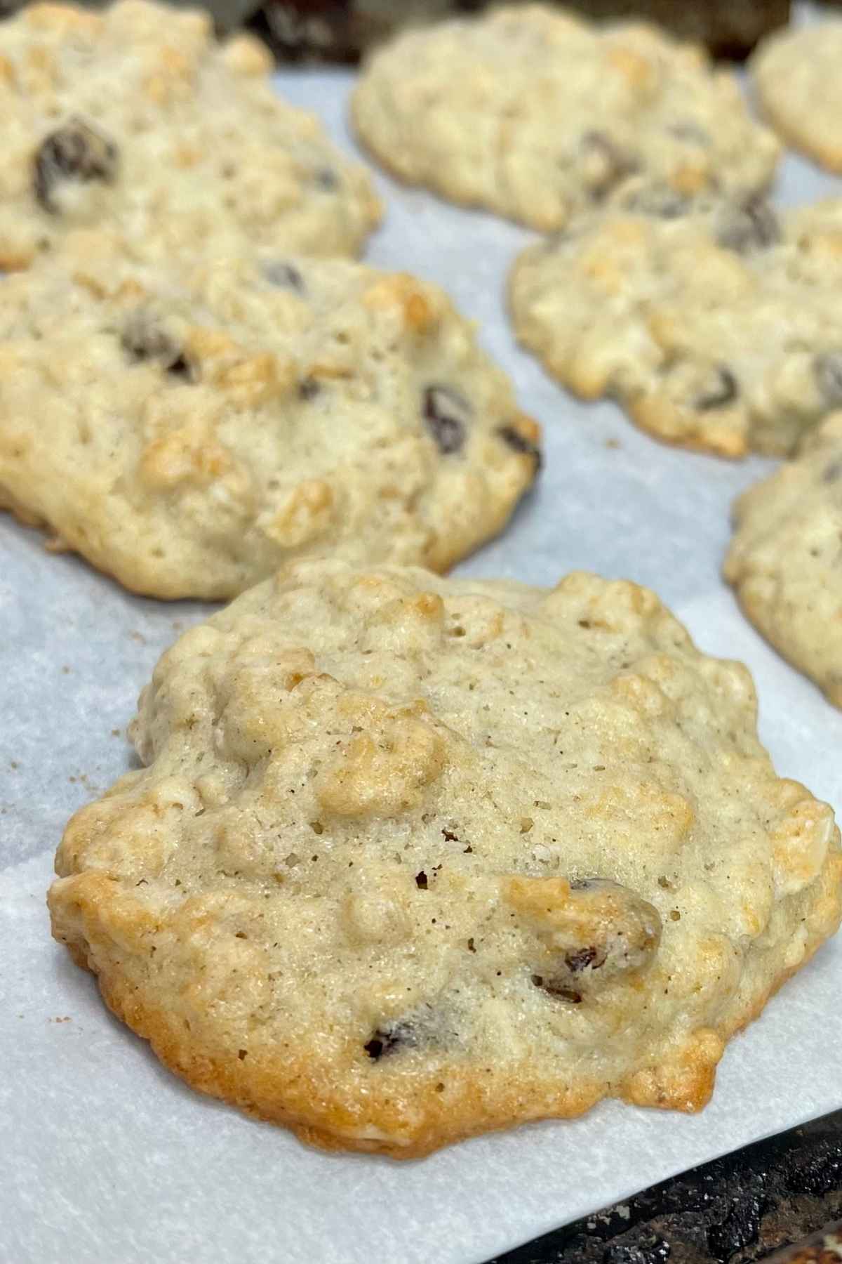 Baked Soft Oatmeal Cookies on a baking sheet.