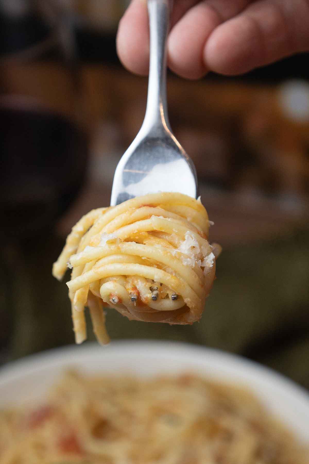 Pasta swirled onto a fork.