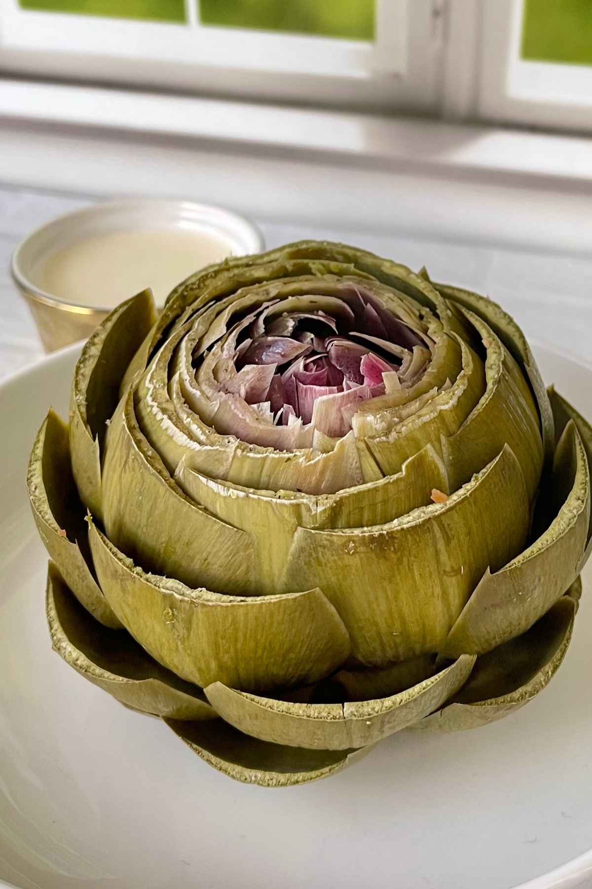 Steamed Artichokes on a plate with a side of lemon garlic aioli.