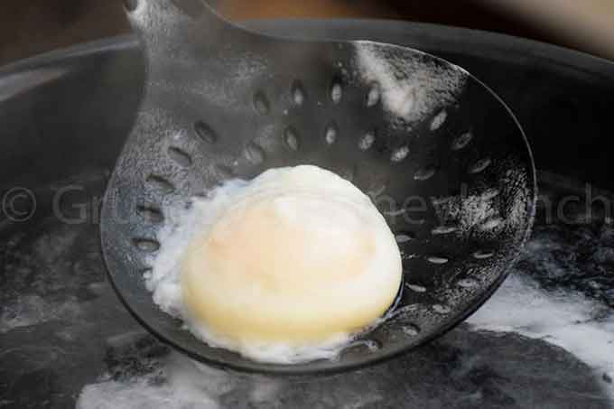perfectly poached egg on a slotted spoon