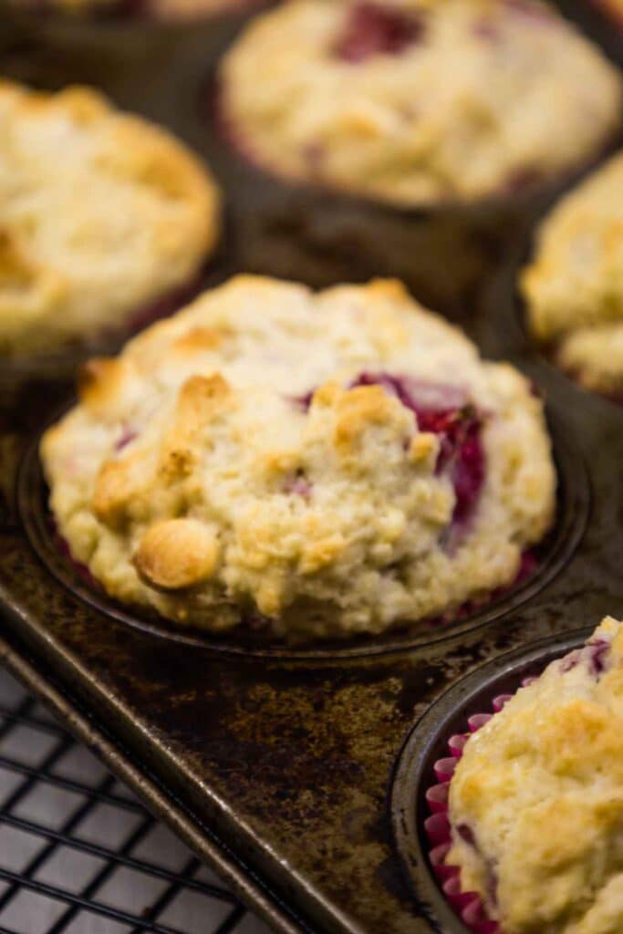 Baked muffins in muffin pan on cooling rack.