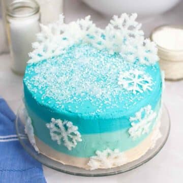 Featured image for winter wonderland cake.