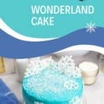 Winter Wonderland Cake Pin Image.