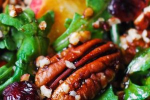 Best Arugula Apple Salad Recipes & Ideas Quick Salad Recipes for Healthy Salad Ideas to Boost Your Nutrition Best Arugula Apple Salad Recipes & Ideas | Quick Salad Recipes for Healthy Salad Ideas to Boost Your Nutrition