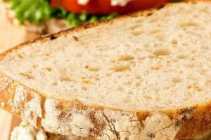 Turkey Salad Sandwich Recipes Quick Salad Recipes for Healthy Salad Ideas to Boost Your Nutrition Turkey Salad Sandwich Recipes | Quick Salad Recipes for Healthy Salad Ideas to Boost Your Nutrition