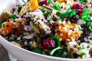 Best Fall Quinoa Salad Recipes for Autumn Quick Salad Recipes for Healthy Salad Ideas to Boost Your Nutrition Best Fall Quinoa Salad Recipes for Autumn | Quick Salad Recipes for Healthy Salad Ideas to Boost Your Nutrition
