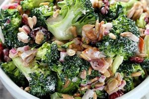 Best No Lettuce Salad Recipes: Easy & Healthy Quick Salad Recipes for Healthy Salad Ideas to Boost Your Nutrition Best No Lettuce Salad Recipes: Easy & Healthy | Quick Salad Recipes for Healthy Salad Ideas to Boost Your Nutrition
