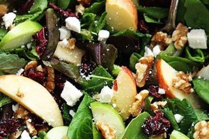 Best Cranberry Apple Salad Recipes for Fall Quick Salad Recipes for Healthy Salad Ideas to Boost Your Nutrition Best Cranberry Apple Salad Recipes for Fall | Quick Salad Recipes for Healthy Salad Ideas to Boost Your Nutrition