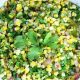 Corn Cilantro Salad Recipe | Quick Salad Recipes for Healthy Salad Ideas to Boost Your Nutrition
