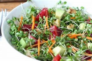 Best Microgreen Salad Recipes & Ideas | Safem Fabrication - Precision Engineering & Custom Manufacturing Solutions