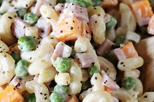 Ham Cheese Macaroni Salad Recipe Quick Salad Recipes for Healthy Salad Ideas to Boost Your Nutrition Ham Cheese Macaroni Salad Recipe | Quick Salad Recipes for Healthy Salad Ideas to Boost Your Nutrition