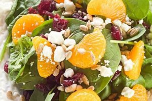 Easy Spinach Mandarin Orange Salad Recipe | Safem Fabrication - Precision Engineering & Custom Manufacturing Solutions