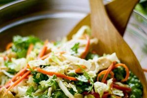 Easy Asian Chicken Cabbage Salad Recipes Quick Salad Recipes for Healthy Salad Ideas to Boost Your Nutrition Easy Asian Chicken Cabbage Salad Recipes | Quick Salad Recipes for Healthy Salad Ideas to Boost Your Nutrition