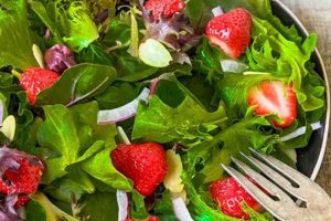 Green Salad With Strawberries Recipe Quick Salad Recipes for Healthy Salad Ideas to Boost Your Nutrition Green Salad With Strawberries Recipe | Quick Salad Recipes for Healthy Salad Ideas to Boost Your Nutrition