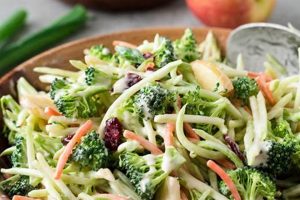 Easy Broccoli Slaw Salad Recipe & Dressing Ideas Quick Salad Recipes for Healthy Salad Ideas to Boost Your Nutrition Easy Broccoli Slaw Salad Recipe & Dressing Ideas | Quick Salad Recipes for Healthy Salad Ideas to Boost Your Nutrition