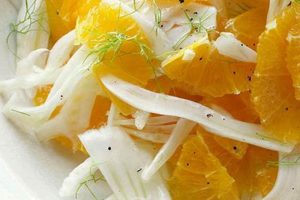 Best Orange Fennel Salad Recipe: Easy & Fresh Quick Salad Recipes for Healthy Salad Ideas to Boost Your Nutrition Best Orange Fennel Salad Recipe: Easy & Fresh | Quick Salad Recipes for Healthy Salad Ideas to Boost Your Nutrition