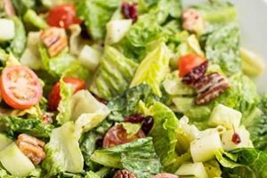 Easy & Best Side Salad Recipes for Dinner Quick Salad Recipes for Healthy Salad Ideas to Boost Your Nutrition Easy & Best Side Salad Recipes for Dinner | Quick Salad Recipes for Healthy Salad Ideas to Boost Your Nutrition