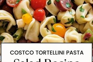 Best Costco Tortellini Pasta Salad Copycat Recipe Quick Salad Recipes for Healthy Salad Ideas to Boost Your Nutrition Best Costco Tortellini Pasta Salad Copycat Recipe | Quick Salad Recipes for Healthy Salad Ideas to Boost Your Nutrition