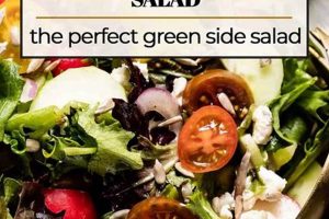 Best Spring Salad Mix Recipe: Easy & Healthy Quick Salad Recipes for Healthy Salad Ideas to Boost Your Nutrition Best Spring Salad Mix Recipe: Easy & Healthy | Quick Salad Recipes for Healthy Salad Ideas to Boost Your Nutrition