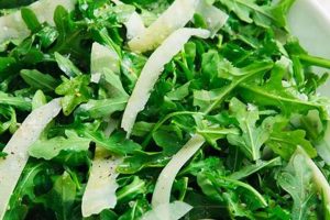 The Best Arugula Salad Recipe Ever | Quick Salad Recipes for Healthy Salad Ideas to Boost Your Nutrition