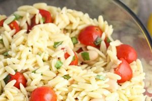 Orzo Pasta Salad Recipes With Lemon Quick Salad Recipes for Healthy Salad Ideas to Boost Your Nutrition Orzo Pasta Salad Recipes With Lemon | Quick Salad Recipes for Healthy Salad Ideas to Boost Your Nutrition