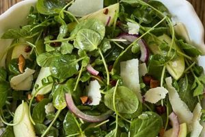 Best Watercress Salad Recipes & Ideas | Quick Salad Recipes for Healthy Salad Ideas to Boost Your Nutrition