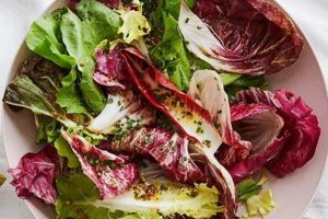 Best Chicory Salad Recipe Ever! Quick Salad Recipes for Healthy Salad Ideas to Boost Your Nutrition Best Chicory Salad Recipe Ever! | Quick Salad Recipes for Healthy Salad Ideas to Boost Your Nutrition