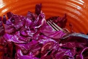 Classic Northwoods Inn Cabbage Salad Recipe Quick Salad Recipes for Healthy Salad Ideas to Boost Your Nutrition Classic Northwoods Inn Cabbage Salad Recipe | Quick Salad Recipes for Healthy Salad Ideas to Boost Your Nutrition