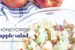 Best Honeycrisp Apple Salad Recipe Ever Quick Salad Recipes for Healthy Salad Ideas to Boost Your Nutrition Best Honeycrisp Apple Salad Recipe Ever | Quick Salad Recipes for Healthy Salad Ideas to Boost Your Nutrition