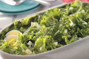 Easy Simple Lettuce Salad Recipes: Quick & Healthy Quick Salad Recipes for Healthy Salad Ideas to Boost Your Nutrition Easy Simple Lettuce Salad Recipes: Quick & Healthy | Quick Salad Recipes for Healthy Salad Ideas to Boost Your Nutrition