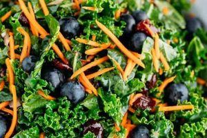 Healthy Kale & Spinach Salad Recipes & Ideas Quick Salad Recipes for Healthy Salad Ideas to Boost Your Nutrition Healthy Kale & Spinach Salad Recipes & Ideas | Quick Salad Recipes for Healthy Salad Ideas to Boost Your Nutrition