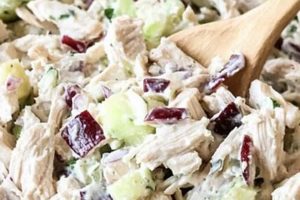 Classic Amish Chicken Salad Recipe (Easy & Simple) Quick Salad Recipes for Healthy Salad Ideas to Boost Your Nutrition Classic Amish Chicken Salad Recipe (Easy & Simple) | Quick Salad Recipes for Healthy Salad Ideas to Boost Your Nutrition
